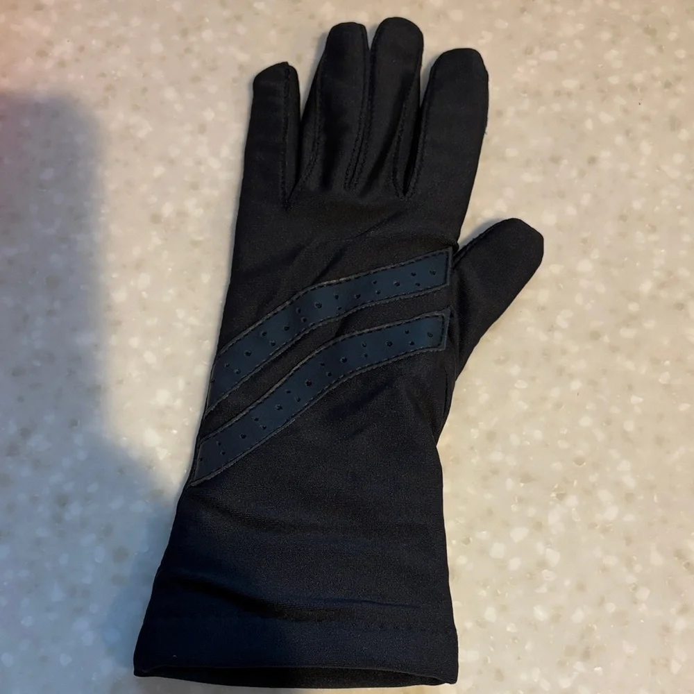 Hanes Dark Gloves with Navy Stripes do not purchase!